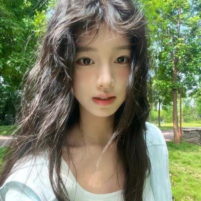 狐狸之声国语 海报